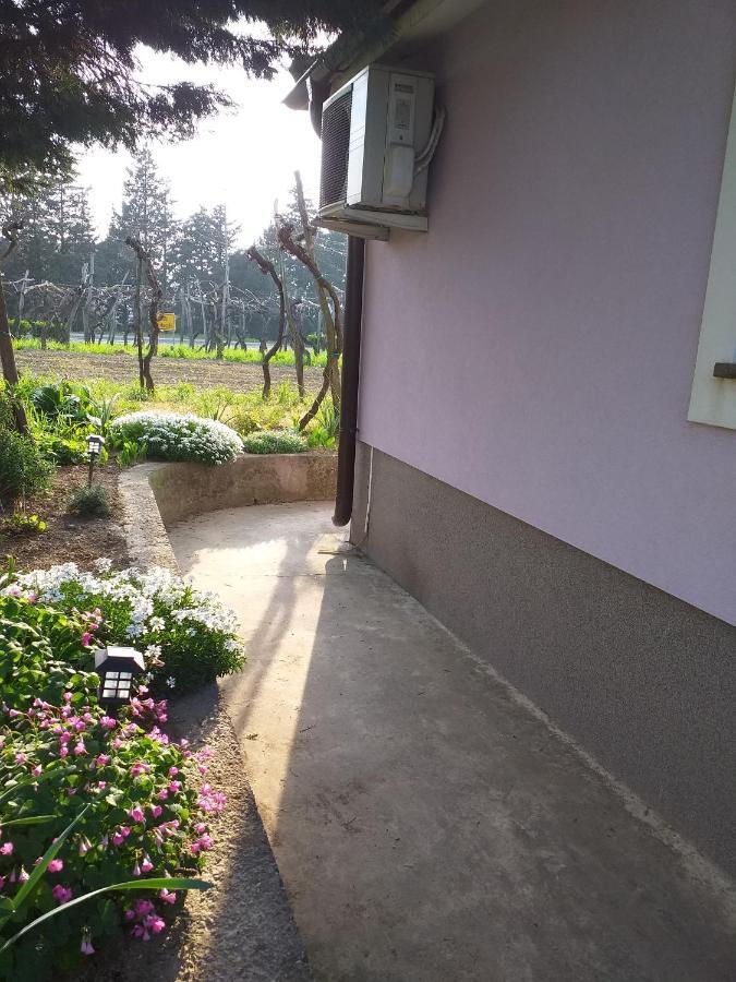 Appartamento Istra Capodistria Esterno foto