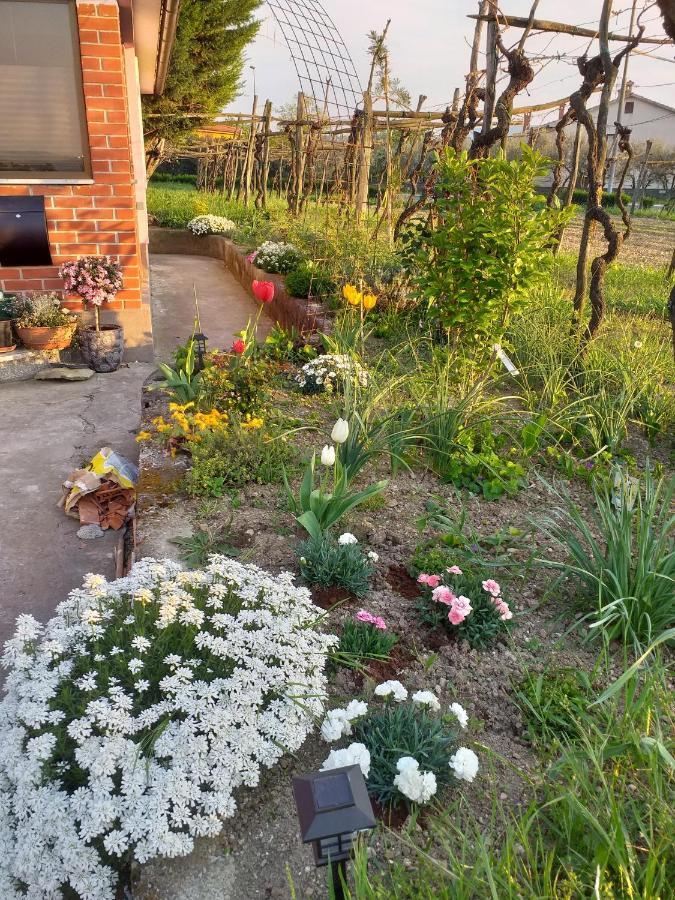 Appartamento Istra Capodistria Esterno foto