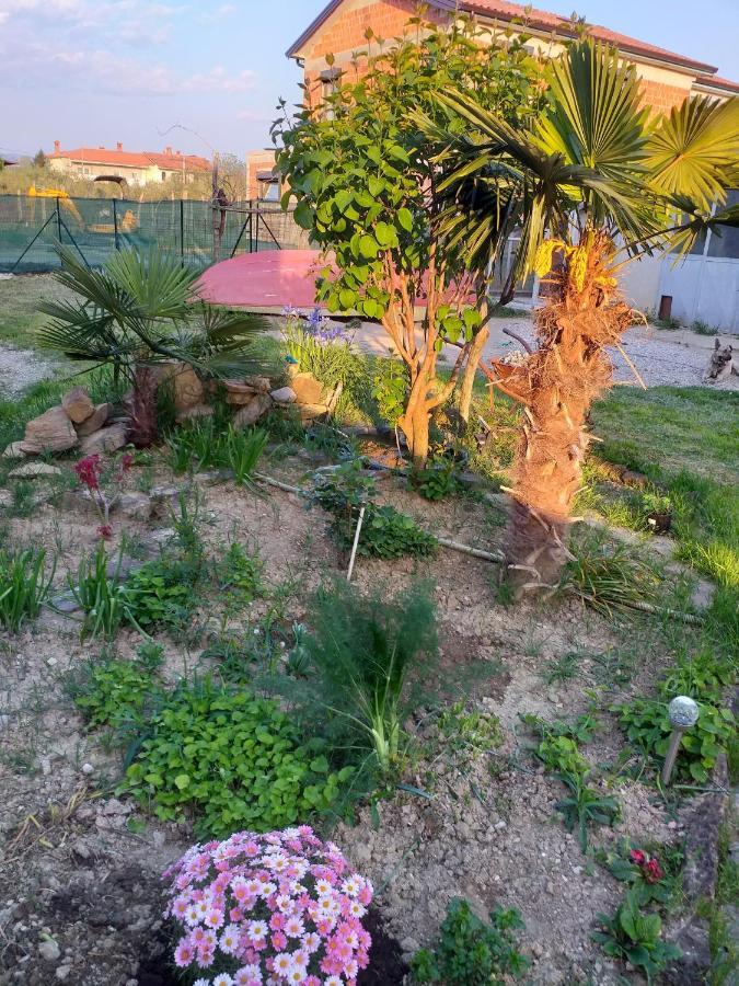 Appartamento Istra Capodistria Esterno foto